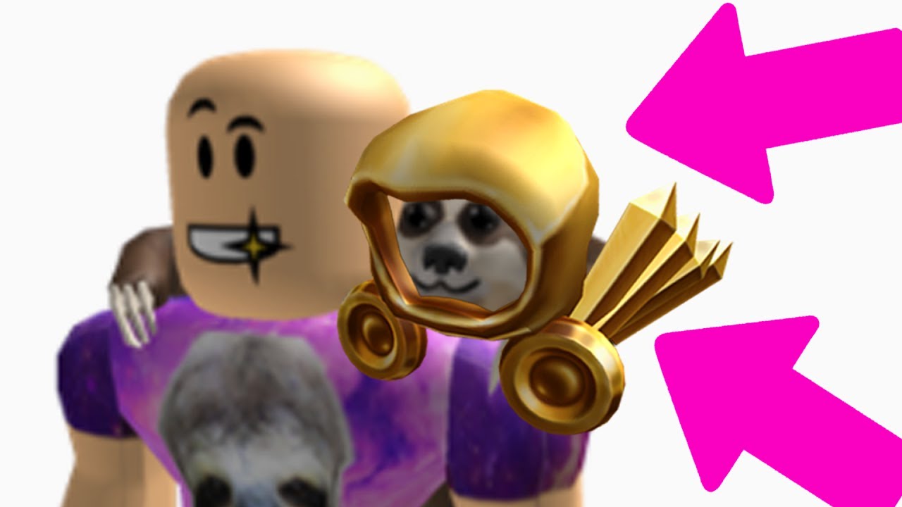 Giving My Pet Sloth A Dominus Roblox Youtube