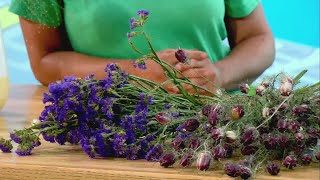 SASSAFRASS FLOWER FARM