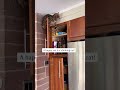 A happy cat is a climbing cat! | Holistic Actions!