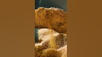 Coconut husk peat making machine 2023 New Model