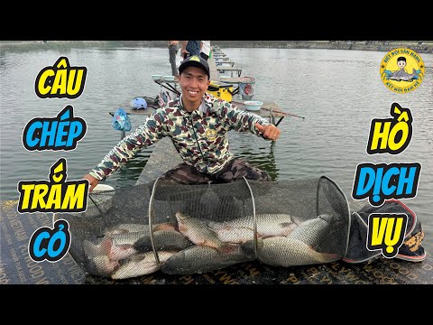 Chia Sẻ Cách Câu Cá Trắm Cỏ và Chép ở Hồ Dịch Vụ?