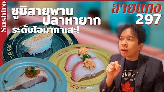 ซูชิสายพาน ปลาหายาก ที่มีเมนูพิเศษทุกเดือน Sushiro #ลายแทง