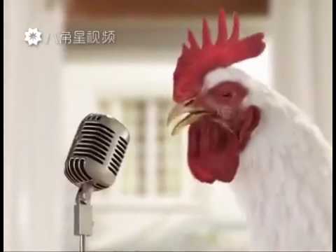 cock song -ALARM
