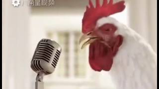 lagu ayam -ALARM