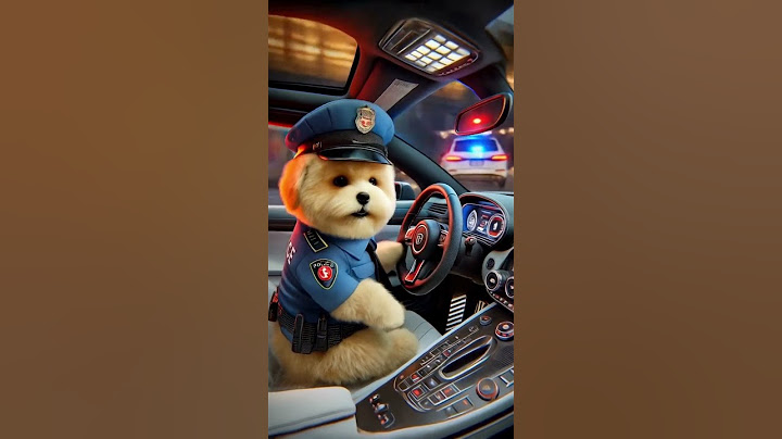 🚨 The Cutest Police Officers on Patrol! 🐱🐶 Bugatti Style 🚔✨