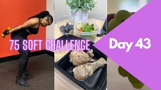 Day 43 Review | 75 Soft Challenge