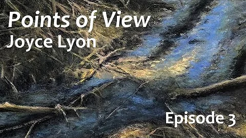 "Points of View" by Joyce Lyon - Episode 3
