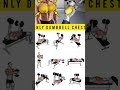 Dumbbell chest 🏋try jarur kare #shorts #youtubeshorts #trending #viralvideo #trendingsong #gym