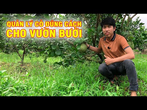 Video: Làm Thế Nào để Bảo Quản đúng Cách Cho Cây Trồng Trong Vườn Thảo Mộc