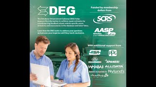 How to access Special Cautions/ OEM Position statements within Mitchell Ultramate