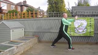 14 Roads Tam Toy - Road 2 - 7 Stars Praying Mantis Kung Fu