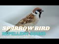 Sparrow Repellent Sound || Suara pengusir burung pipit/gereja