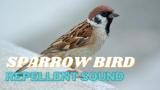 Sparrow Repellent Sound