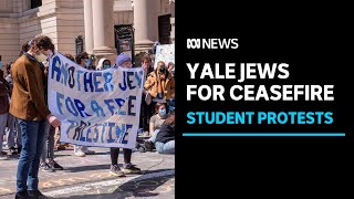 Jewish student protester calls for Yale to divest  from weapons manufacturers | ABC News