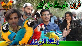 Lalukhet Exotic Parrots and Rare Birds Market Karachi 31-3-2024 Latest Update in Urdu\/Hindi