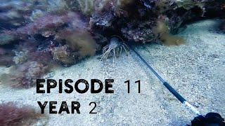 Bunbury Crayfish | Diving the Huts | EP11 | Year 2