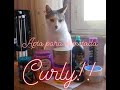 [ METODO CURLY ➰ ] Productos aptos para método Curly Todo LOW COST ✅✅