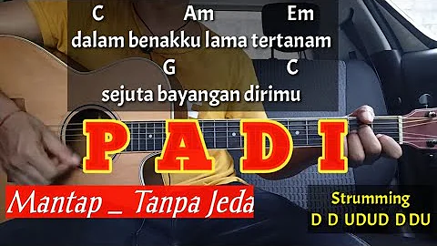 Kunci Gitar Padi Semua Tak Sama | Tutorial Main Gitar Mudah | Darmawan Gitar