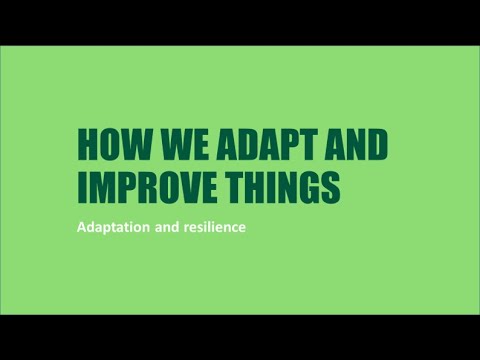 How we adapt an improve things