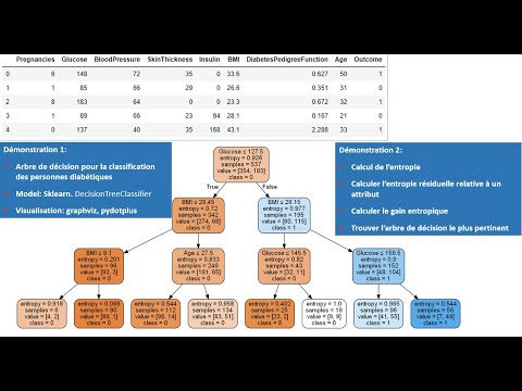 Vidéo: Que vous disent les arbres de décision ?
