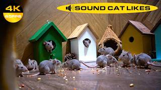 LIVE 24/7: Cat TV 4K 60FPS - Cute Little Mice in Wooden Village | Sounds Cats Love