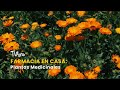 Farmacia en Casa: Plantas Medicinales - TvAgro por Juan Gonzalo Angel