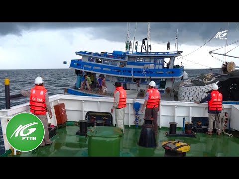 Phát hiện tàu cá Kiên Giang vi phạm vùng biển nước ngoài | THKG