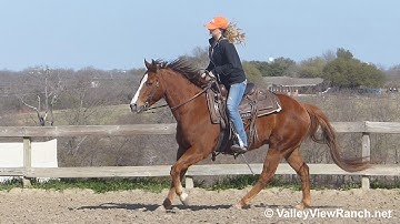 Smooth Resource - riding in outdoor arena - ValleyViewRanch.net