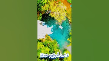 سورة التوبة و..كا،،نك تسمعها لأ؛؛و،،ل مر.ة 💚؛🌸..🧡💟؛؛💐💮💙بصوت الشيخ حمزة مد بو.ح 🧡.،💮،،💟،؛🍃🌼❣️،💐