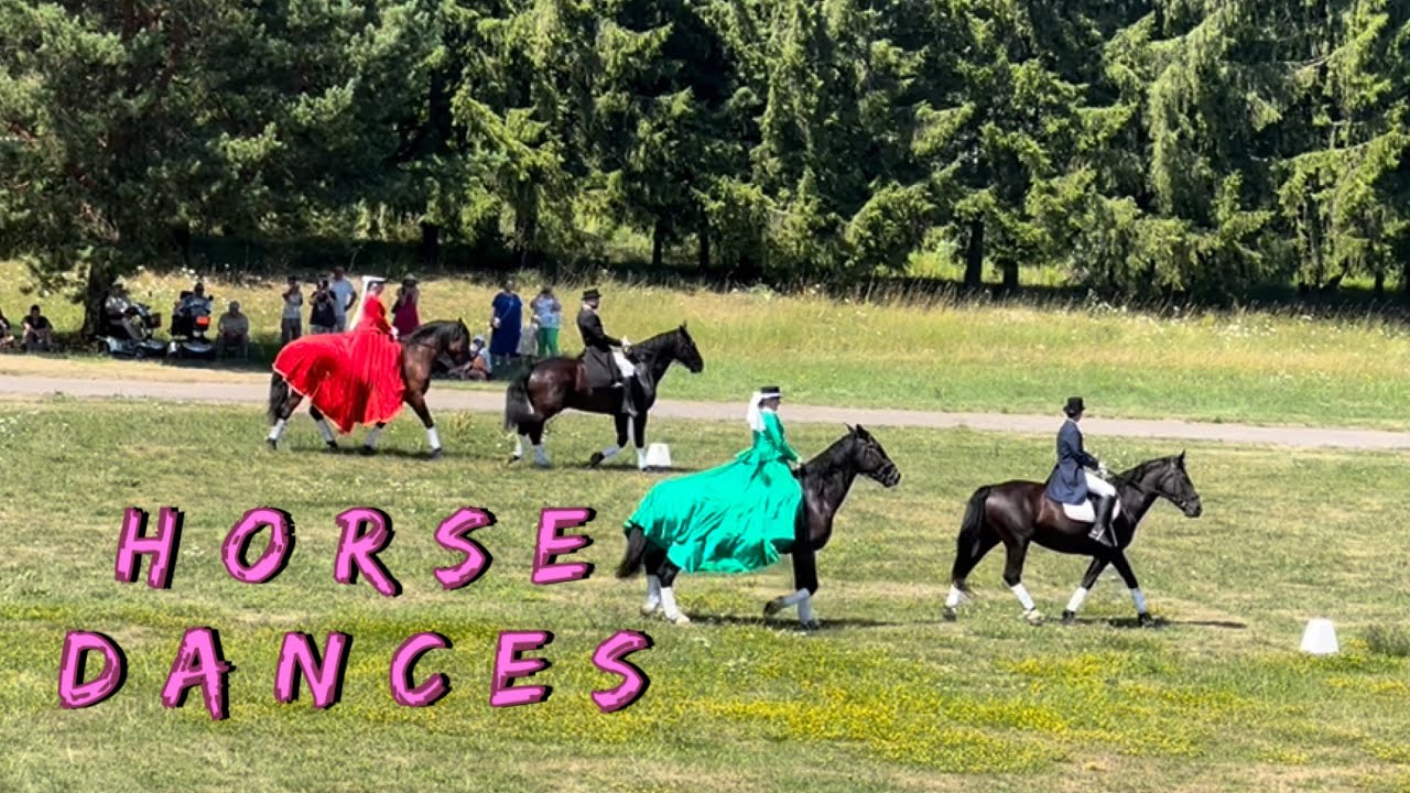 Танцы Лошадей 🐎 Horse Dances from horse ranch “KLAJUMI “ YouTube