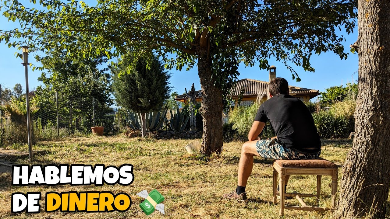 [DIARIO DE CAMPO CAP. 21] Cuánto dinero tengo y dónde lo invierto. Combatiendo pulgones.