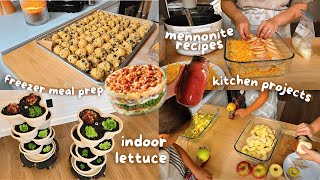 🥬🍎 Freezer meal prep, growing indoor lettuce, mennonite recipes, home canning & more!