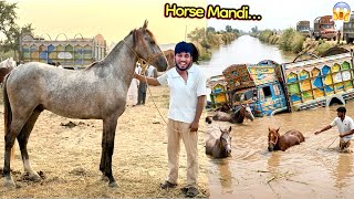 Horse 🐎 Lany ky Leay Faisalabad Mandi Ponch Gy 😍 Big Surprise Coming Soon🔜….