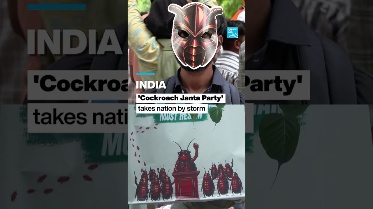 'Cockroach Janta Party' takes India by storm • FRANCE 24 English