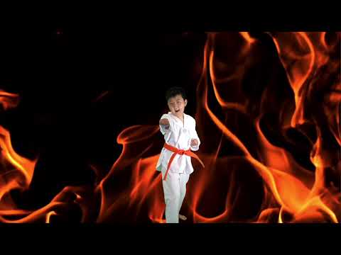 Taekwondo