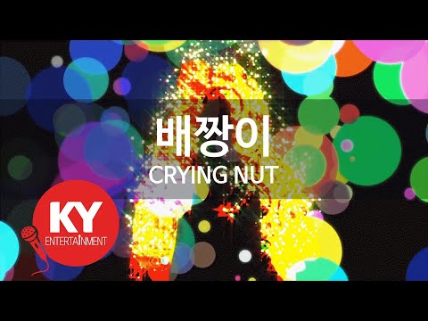 [KY 금영노래방] 배짱이 - CRYING NUT (KY.62813) / KY Karaoke