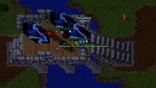Tibia Old Samera - fulga das galinhas - Hinata Utimate