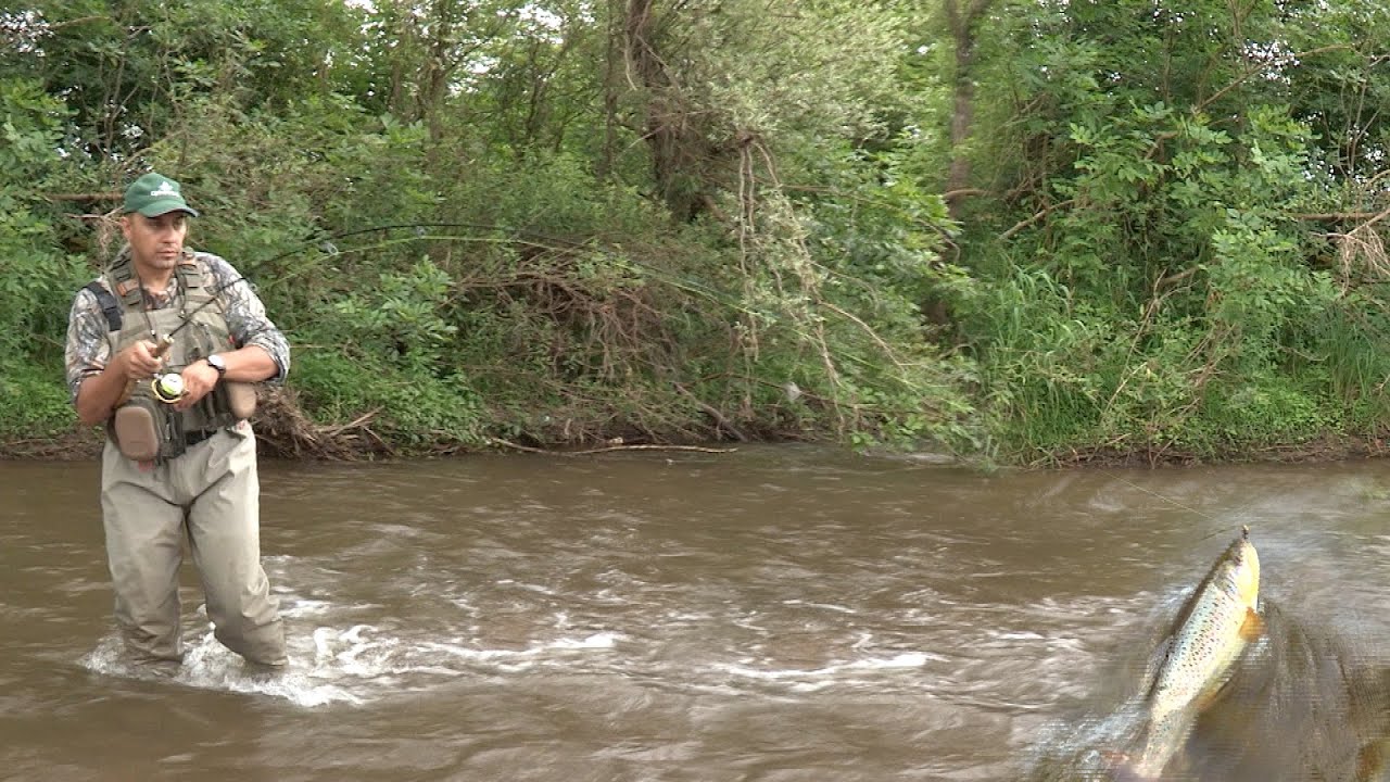 Pecanje potočne pastrmke na reci Visočici Stara planina - Mučičarenje i varaličarenje