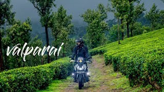 I don't have words 🔥 Valparai | Tamilnadu | Tea Estates |