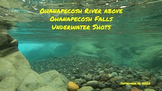 Ohanapecosh River above Ohanapecosh Falls - Underwater Shots
