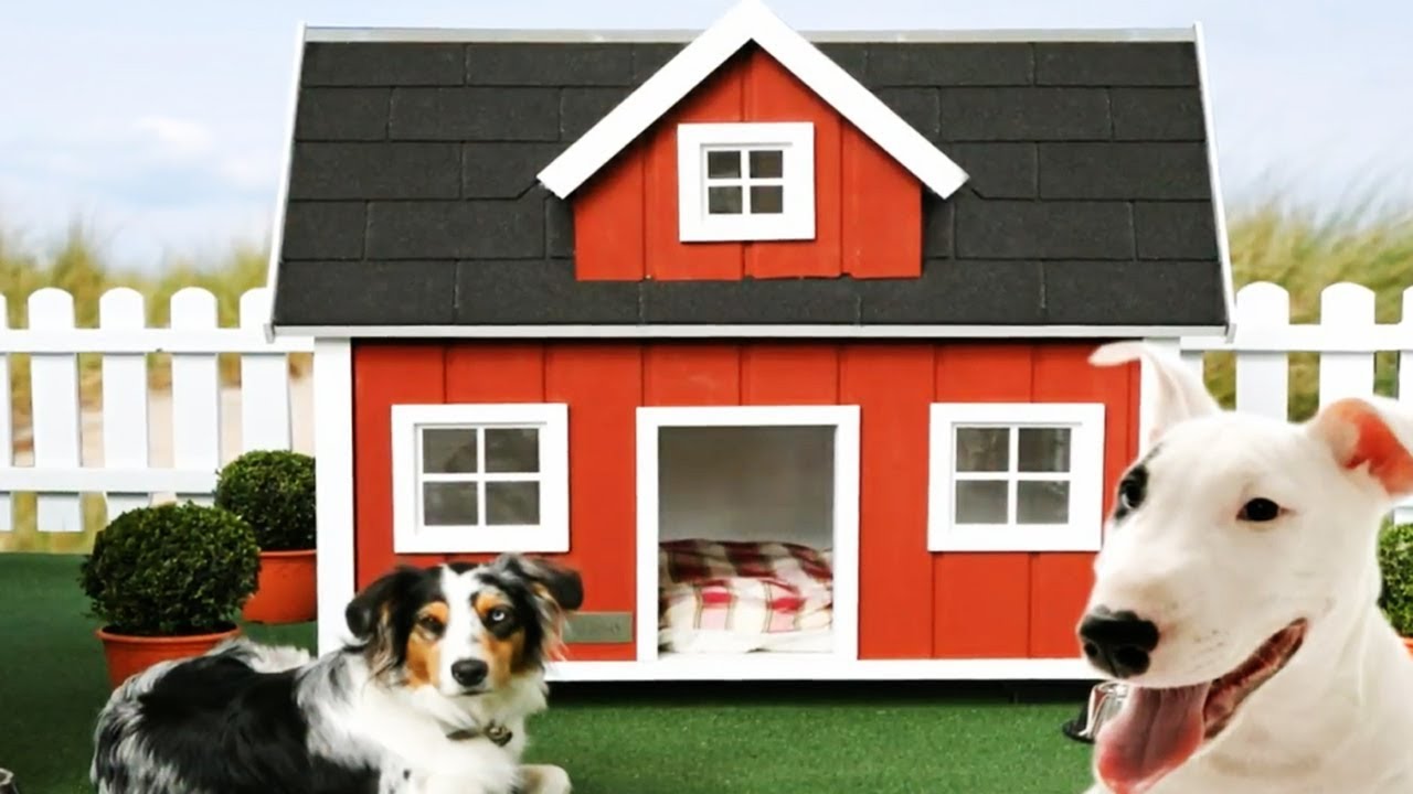 most expensive dog house