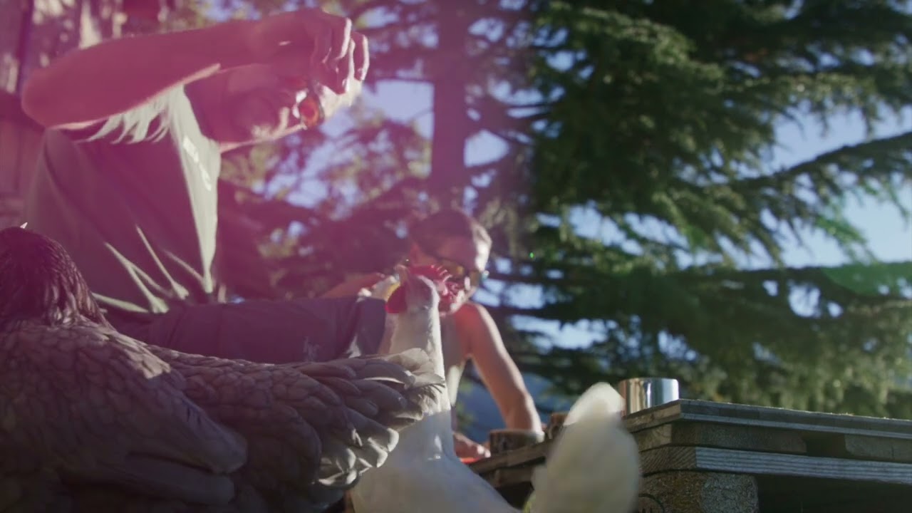 Leaving Tracks Trailer – Harald Philipp