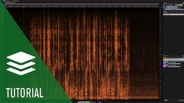 Voice Denoiser | Spectralayers Pro 7 Tutorials