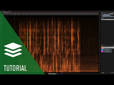 Voice Denoiser | Spectralayers Pro 7 Tutorials