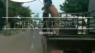 Download Lagu Kebacut tresno MP3