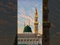 mohammad ke jesa koi nhi❤✨ #ilovemohammadﷺ #islamic #status #makkahmadinah #trending #viral #shorts