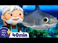 Baby Shark Dance | + More Nursery Rhymes & Kids Songs | Songs for Kids | Learn with Little Baby Bum