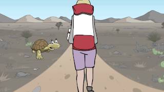 Celebrity Mojave Max - Stay on the Trail Wealth