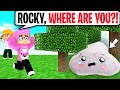 Justin's Pet ROCKY Gets LOST In MINECRAFT! (LankyBox Minecraft Adventure)