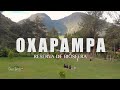 4 LUGARES HERMOSOS  EN OXAPAMPA / NATURALEZA, AVENTURA Y BELLEZA / OMAR TURISTA